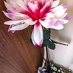 Vongole Отель