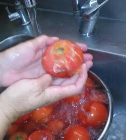Vongole * Кешме